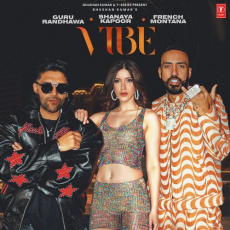 Vibe (Feat. Shanaya Kapoor) Vibe (Feat. Shanaya Kapoor)