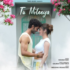 Tu Mileeya Tu Mileeya
