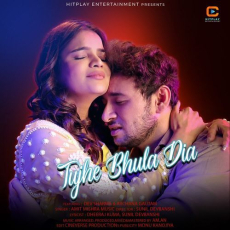 Tujhe Bhula Dia Tujhe Bhula Dia