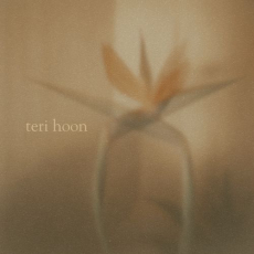 Teri Hoon Teri Hoon