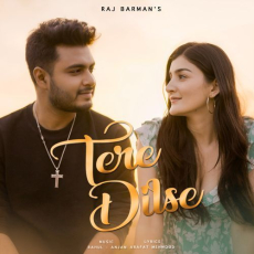 Tere Dilse Tere Dilse