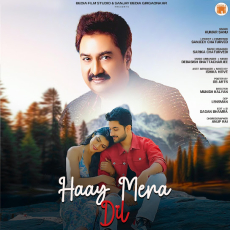 HAAY MERA DIL HAAY MERA DIL