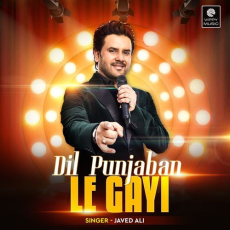 Dil Punjaban Le Gayi Dil Punjaban Le Gayi